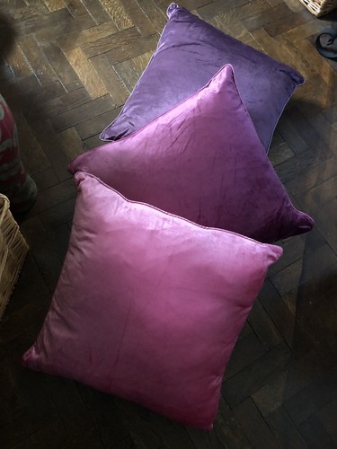 Laura ashley nigella - x,